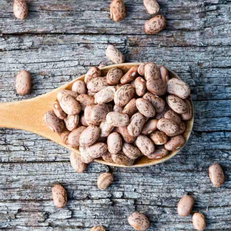 خرید و قیمت لوبیا چیتی + فروش عمده